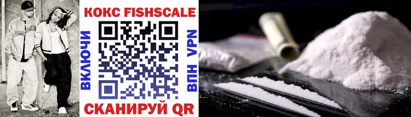 цены наркотик  Чапаевск  Cocaine Fish Scale 
